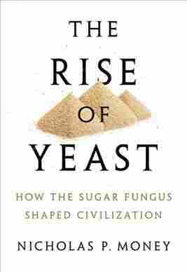 The Rise of Yeast