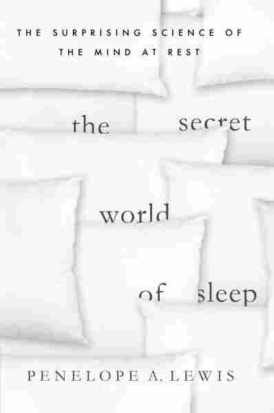 The Secret World of Sleep