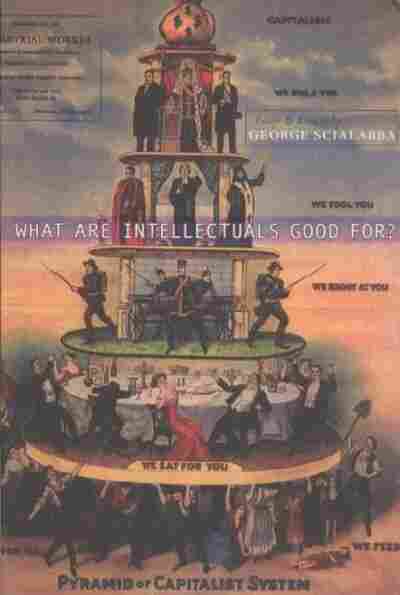What Are Intellectuals Good For?