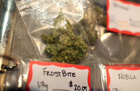 Losing 33 Pounds Of Marijuana: The Cost Of Doing Business : Planet Money :  NPR