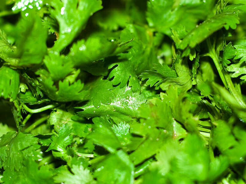 Wash Your Mouth Out With Cilantro Blog Of The Nation NPR
