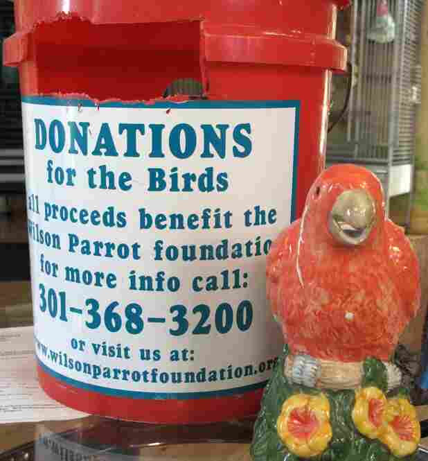 With Feathers Knights in Training NPR