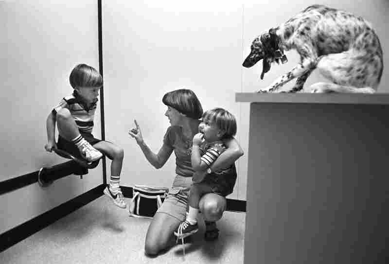 On a trip to the vet, Morgan (right) and Sadie, one of the family's many English setters, both seem to respond to the tension as Judy scolds David. August 1982.