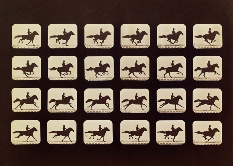 NPR Contest: Following In Muybridge's Footsteps : The Picture Show : NPR