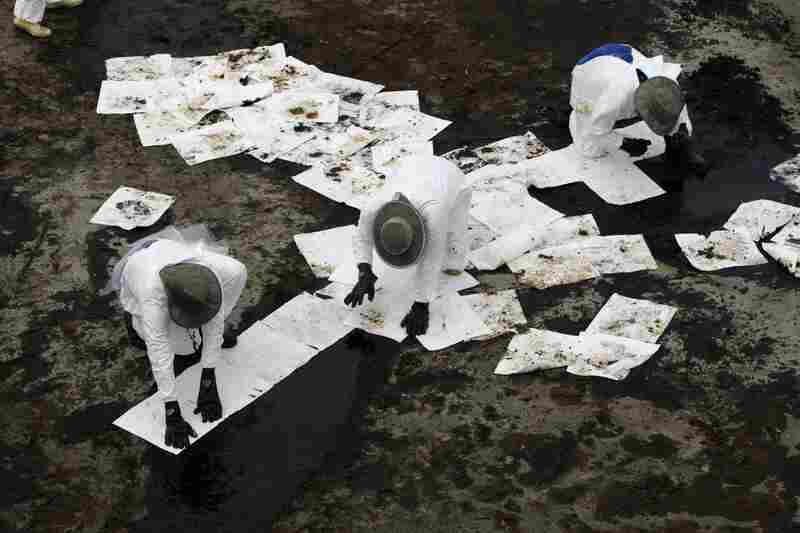 Workers use absorbent pads to remove oil that has washed ashore from the spill in Grand Isle, La., June 6. 