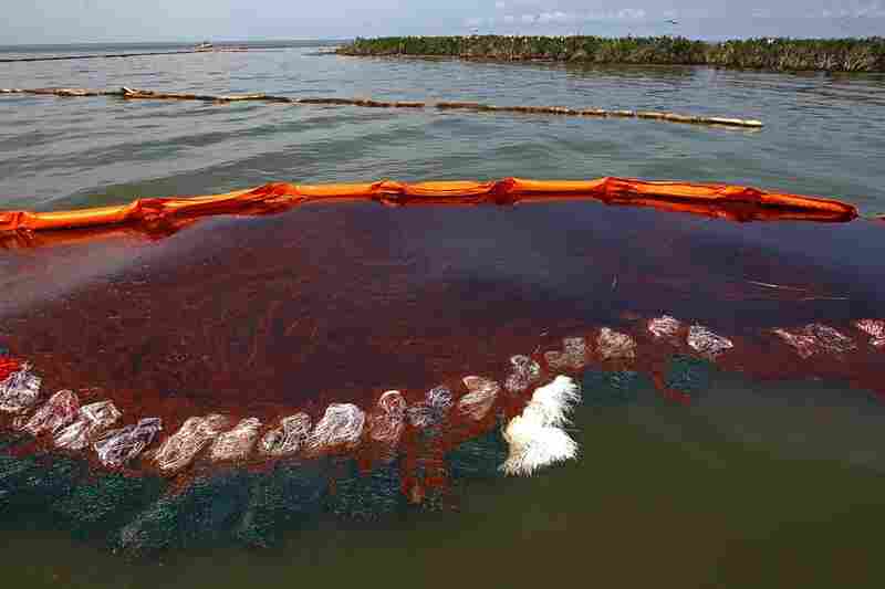 Heavy oil pools along the side of a boom just outside Cat Island in Grand Isle, La., June 6. 