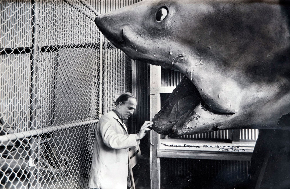 Hunting Bruce, Or, On The Trail Of The 'Jaws' Shark : NPR