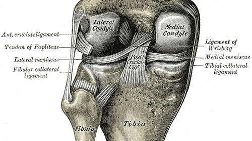 Knee Surgery Looks No Better Than Therapy For Torn ACL : Shots - Health