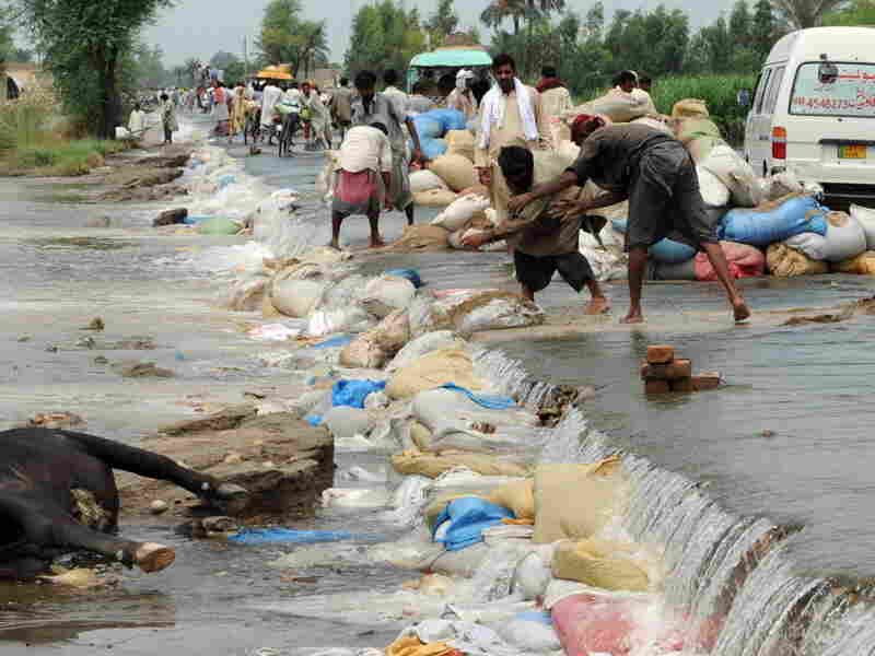 Pakistani villagers lay sandbags.