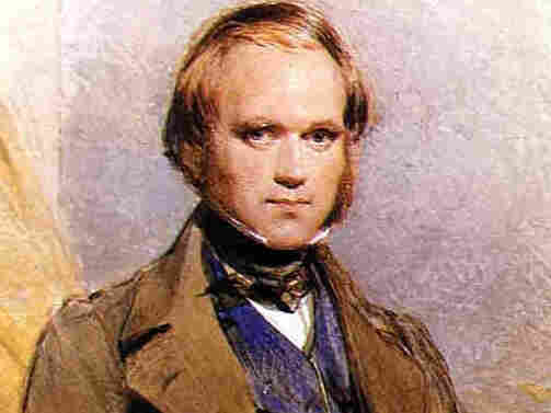 The young Charles Darwin.