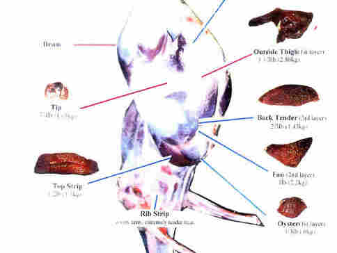 A chart showing rhea meat cuts.
