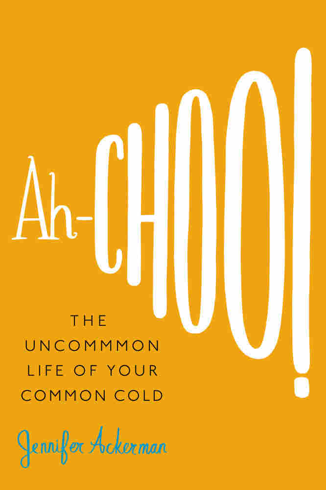 Ah-Choo