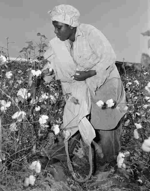 Famous Mill Goes Away As King Cotton's Reign Fades NPR