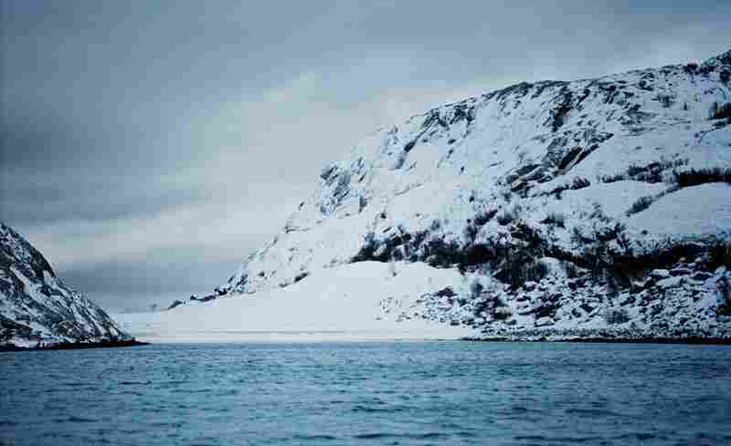 In addition to plates and foliage, Noma also shows the landscapes and environment that inspire Redzepi, like this Norwegian fjord.