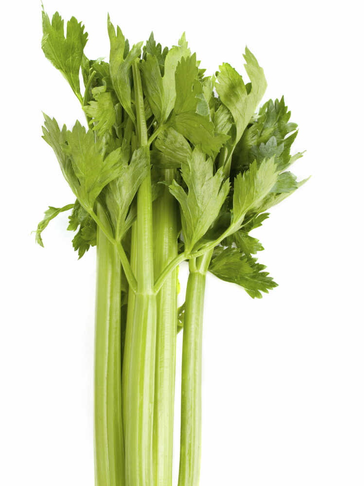 Texas Shuts Down Celery Plant After Five Deadly Listeria Cases Reported ...