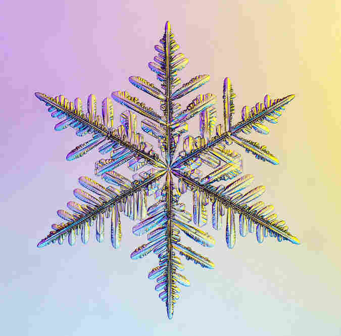 Snowflake Shapes Shine Under The Microscope : NPR