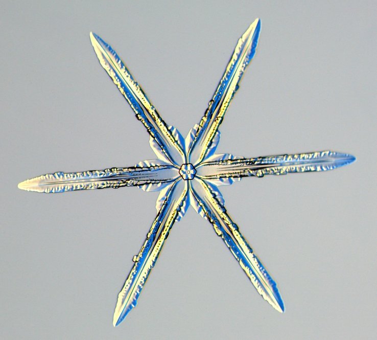 Snowflake Shapes Shine Under The Microscope : NPR
