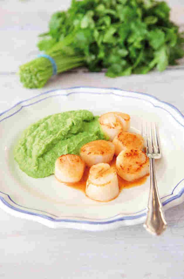 Scallops