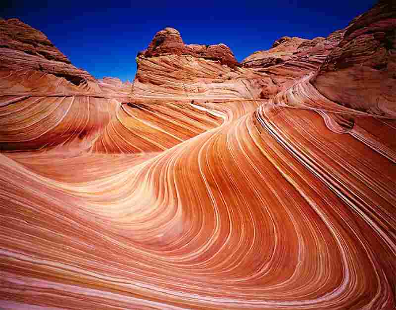 The "Wave," found in Arizona's Coyote Buttes, is a small ravine of eroding sandstone domes.  Credit: Richard van Hoesel