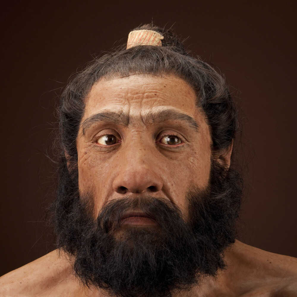 neanderthal man full body