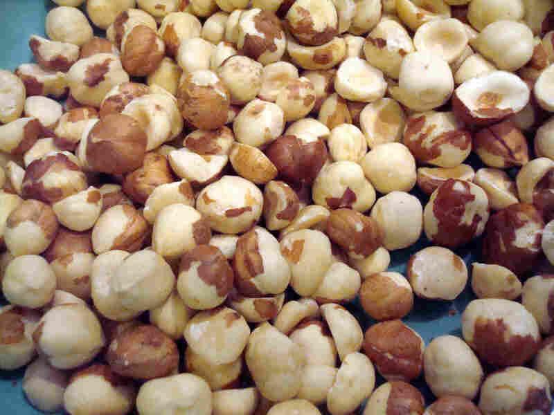 Roasted hazelnuts