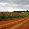 formulate the hypothesis of tropical cyclone in mozambique In Malawi, A Greener Revolution Aligns Diet And Land