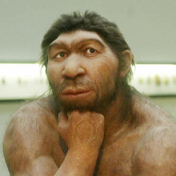 neanderthal-photo_sq-637c7ea3e494437389c7035cbd304be64e3eff3d-s800-c85.jpg
