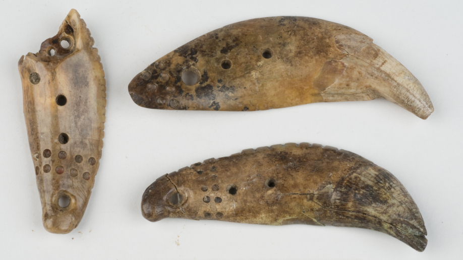 The Prehistoric Treasure In The Fields Of Indiana NPR