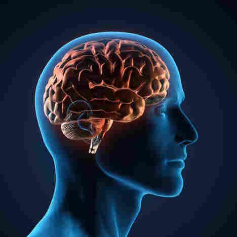 V.S. Ramachandran's Tales Of The 'Tell-Tale Brain'