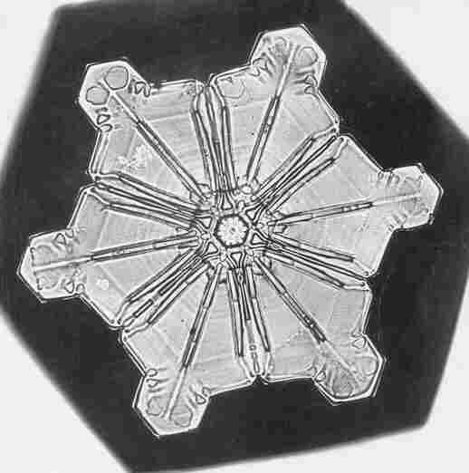 Snowflake study