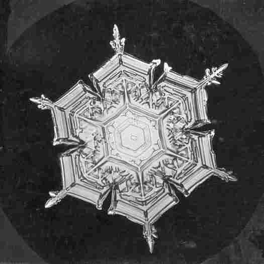 Snowflake study