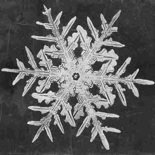 Snowflake study