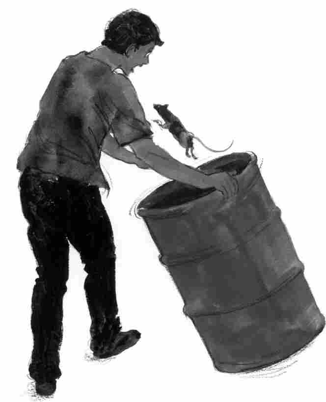 Illustrations by Paul Stoub