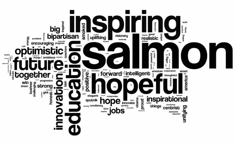 We asked our listeners to describe President Obama's State of the Union address in three words. This is a word cloud of the more than 12,000 words we received.