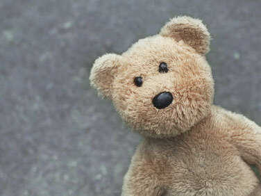 A teddy bear. iStockphoto.com