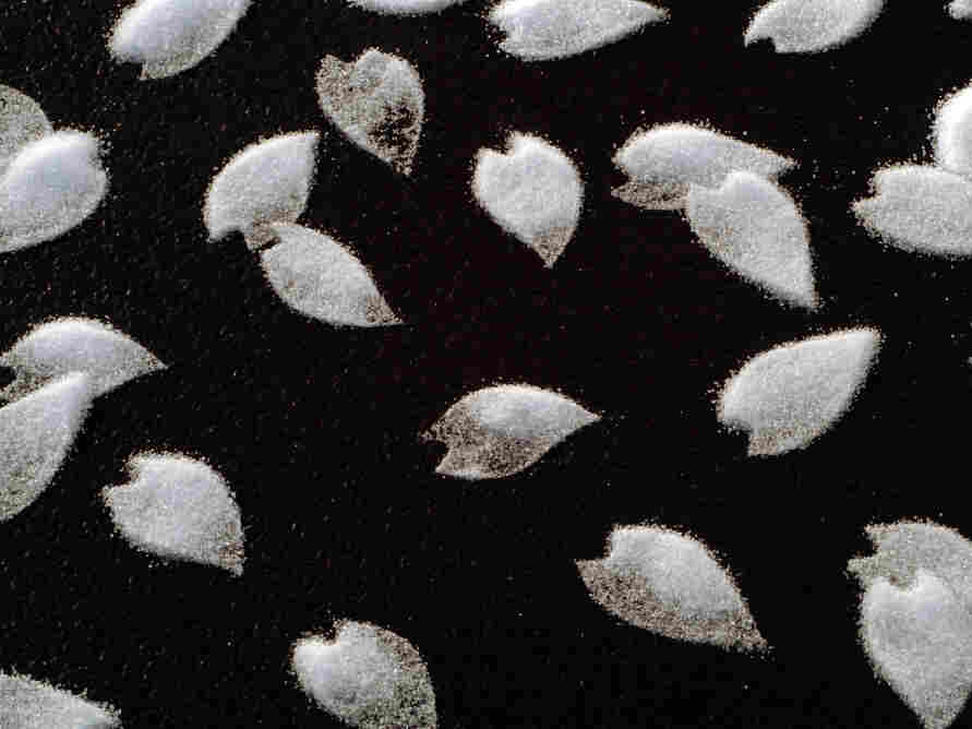 A detailed look at Motoi Yamamoto's "Cherry Blossom" installation at the Mikiko Sato Gallery in Hamburg, July 2009.