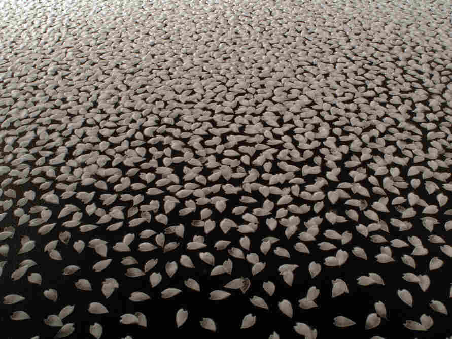 Motoi Yamamoto's "Cherry Blossom" installation at the Mikiko Sato Gallery in Hamburg, Germany, July 2009.
