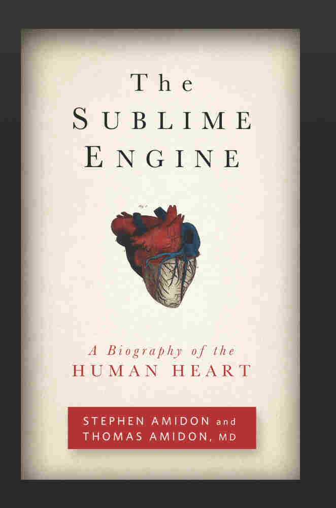 Cover: The Sublime Engine