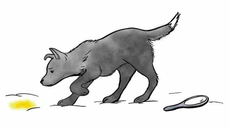An illustration of professor Bekoff's "Yellow Snow Test".