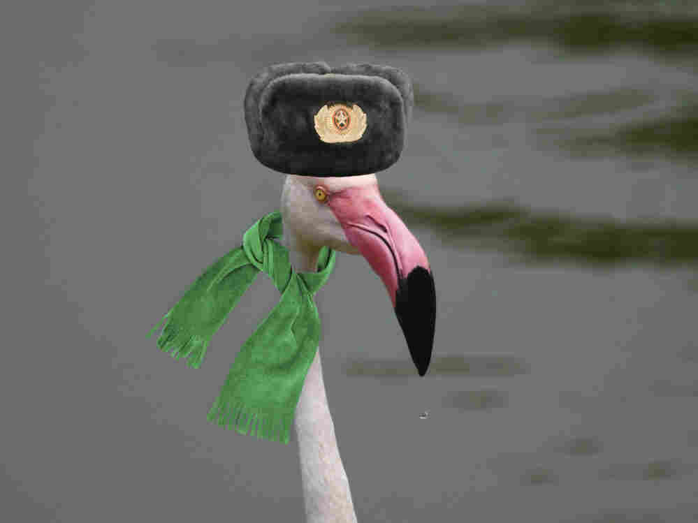 An illustration of a flamingo in Siberia.