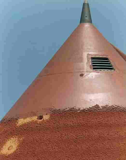 Damage to Discovery fuel tank by woodpeckers