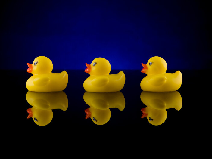 Moby Duck When 28800 Bath Toys Are Lost At Sea Npr - 