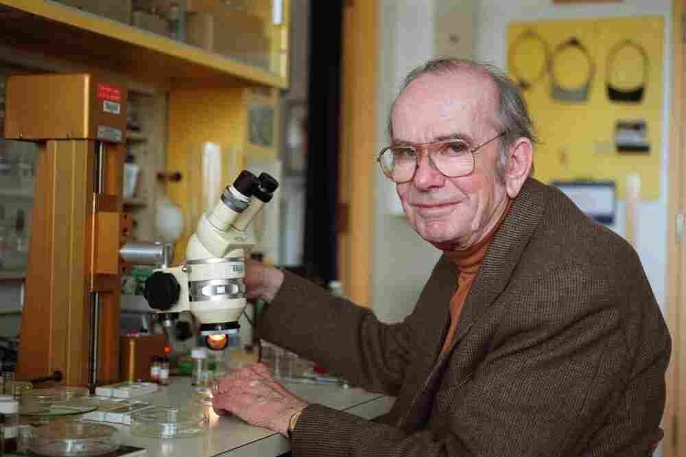 BILL WARREN/Journal Staff Thomas Eisner, emeritus professor of chemical ecology at Cornell University, is pictured in the lab in this file photo from November 2000. Eisner died Friday in Ithaca of complications related to Parkinson's disease at age 85.