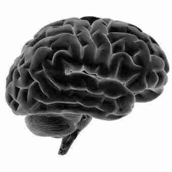 You Won't Feel A Thing: Your Brain On Anesthesia