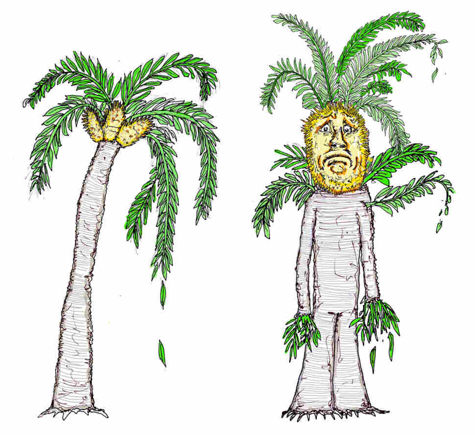 Illustration of a cycad and an Ent.