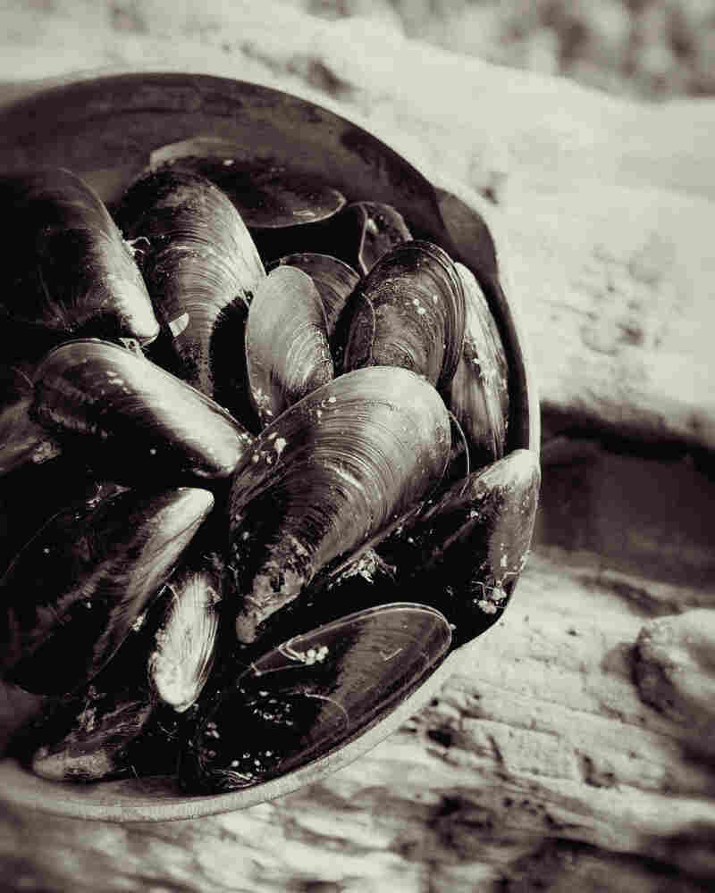 Mussels