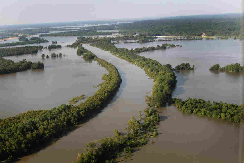 Photos: Come High Water, Homemade Levees May Save The Day : The Picture ...