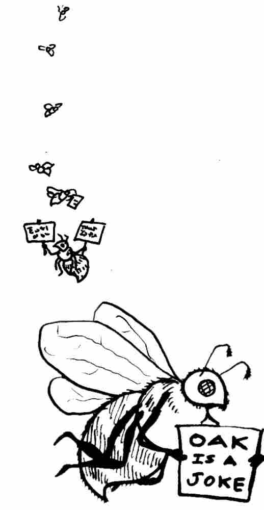 The house-hunting bees.