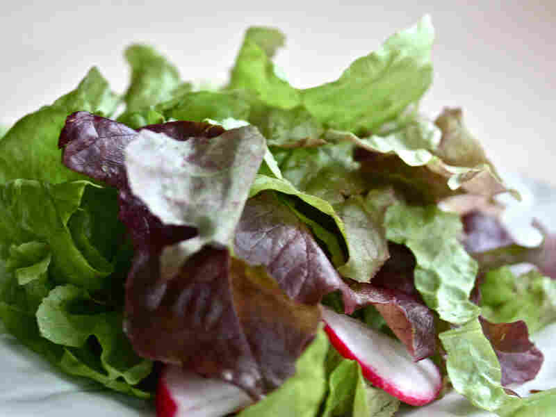 Catch-All Herb Salad With Lemon-Sage Vinaigrette