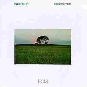 The cover of Bright Size Life